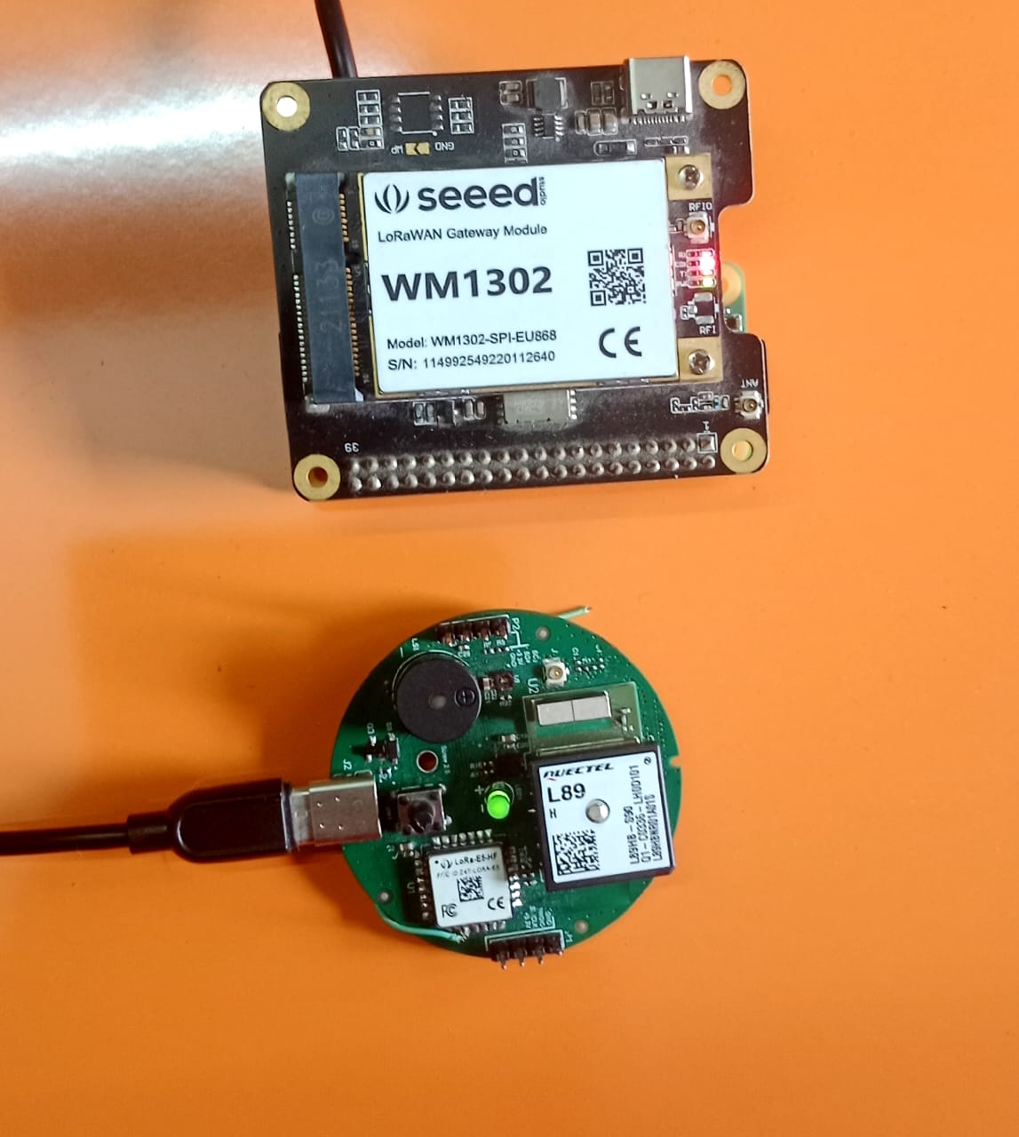 Project Name